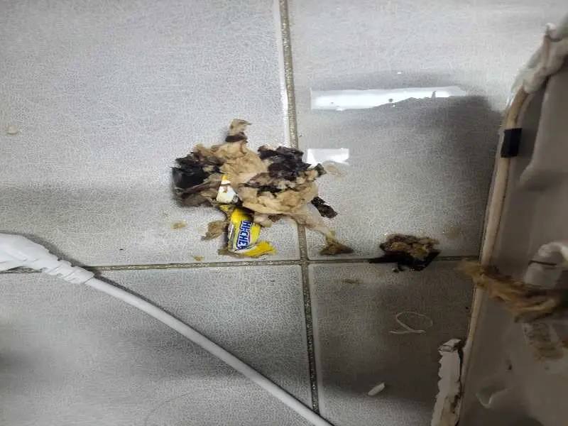 의왕 배관 이물질 제거 사례